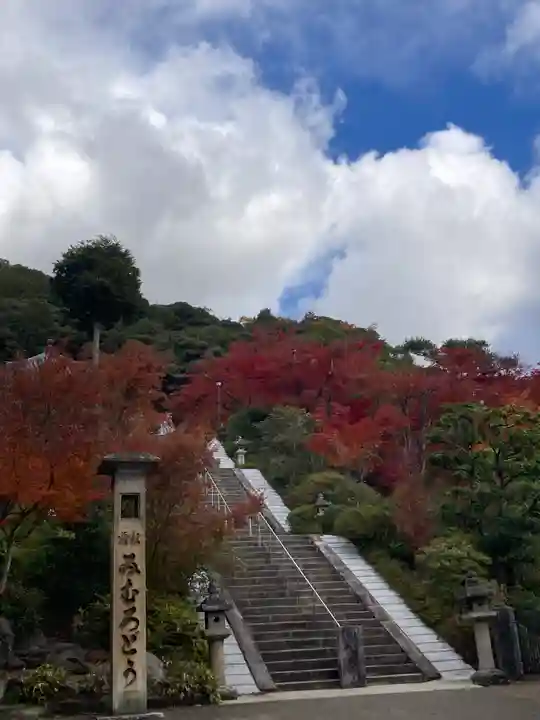 三室戸寺(京都府)