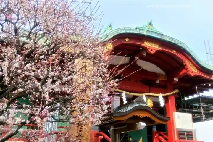 亀戸天神社(東京都)