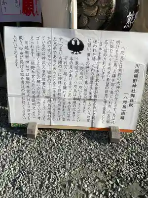 川越熊野神社の歴史