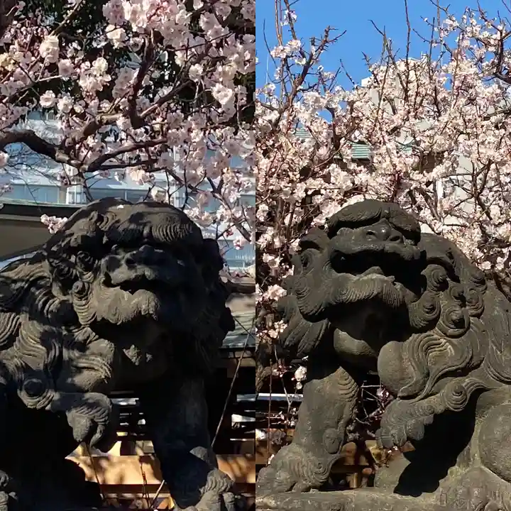 湯島天満宮の狛犬