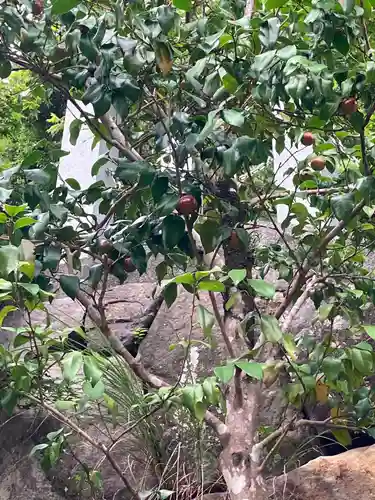 救馬溪観音(和歌山県)