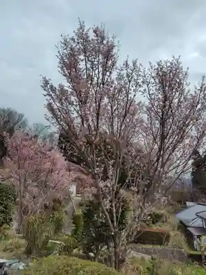 大乗寺(福島県)