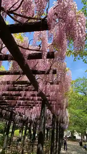 玉敷神社(埼玉県)