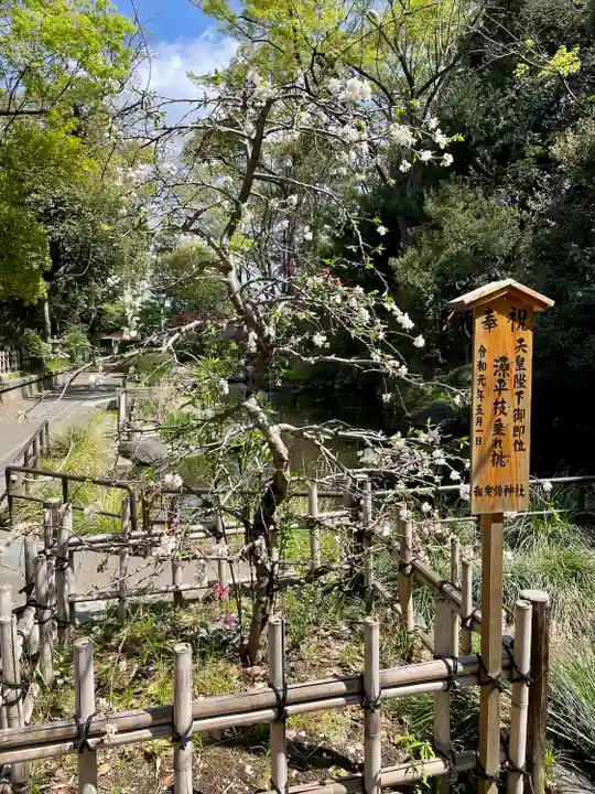 和樂備神社(埼玉県)