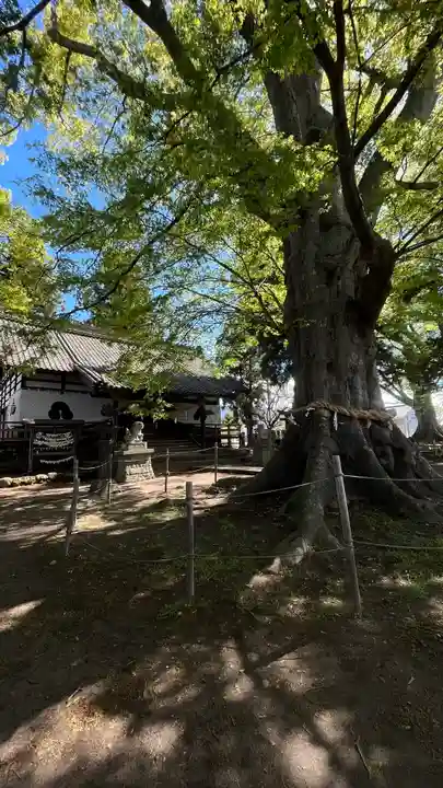 白鳥神社(長野県)