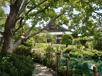 時宗総本山 遊行寺（正式：清浄光寺）(神奈川県)