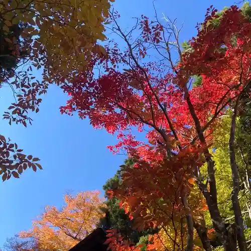 高司神社〜むすびの神の鎮まる社〜の自然