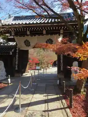 禅林寺（永観堂）の山門・神門