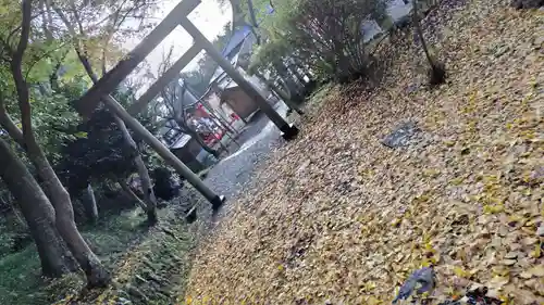 出雲大神宮(京都府)