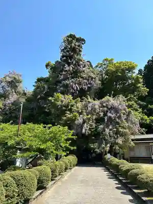 礒部神社(富山県)