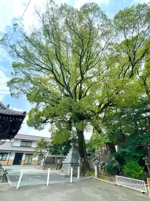 加納天満宮(岐阜県)