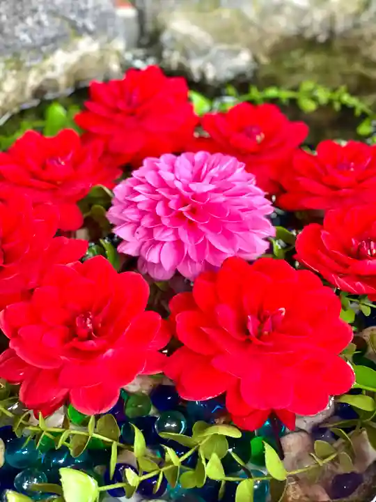 伊達神社の手水舎