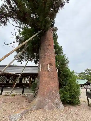 吉備津彦神社(岡山県)