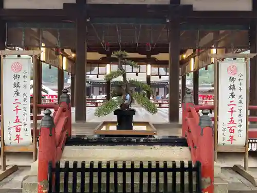 武蔵一宮氷川神社(埼玉県)