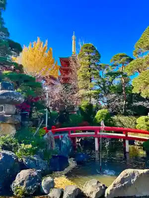 高幡不動尊　金剛寺(東京都)