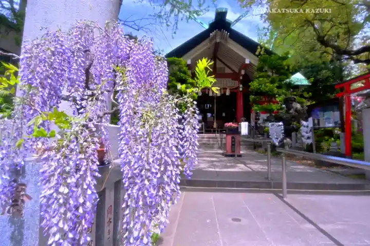 江東天祖神社(東京都)