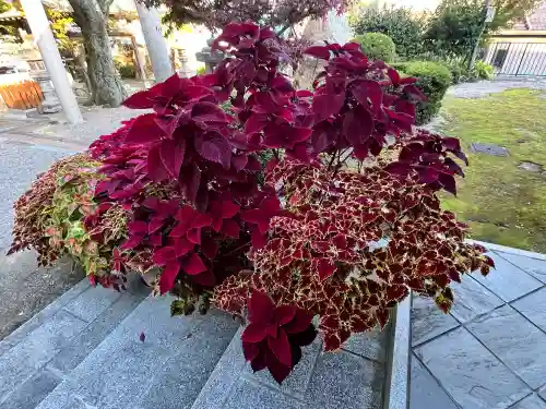 立志神社(滋賀県)