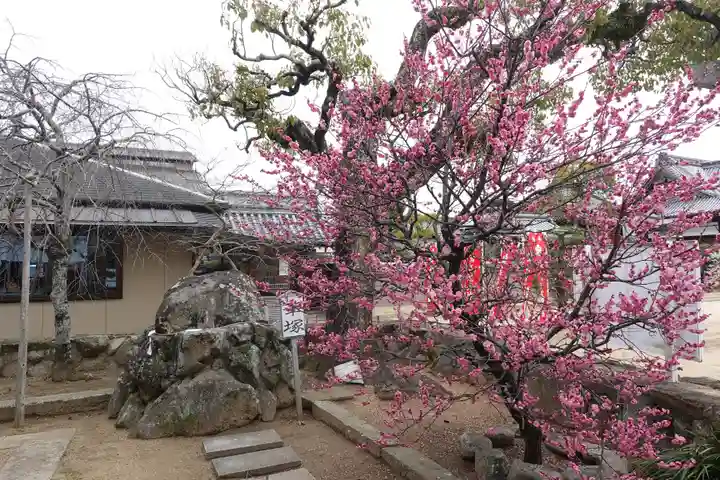 長尾寺(香川県)