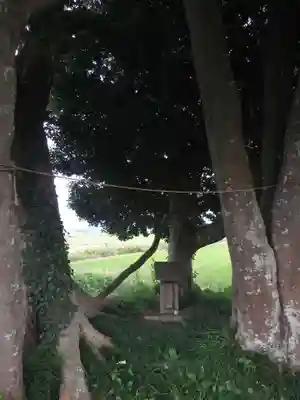 裏つくば、恋瀬川沿いの神社(茨城県)