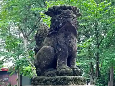 深川神社の狛犬