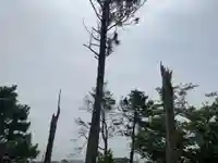 八幡神社の自然