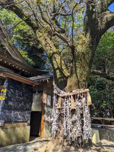 王子神社(徳島県)