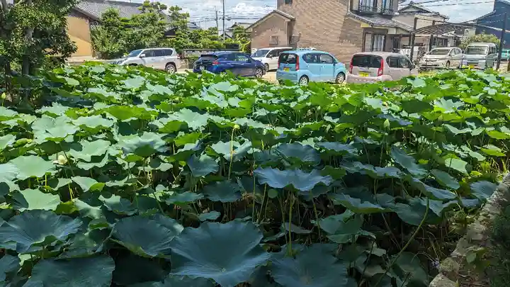雲龍山 本證寺(愛知県)