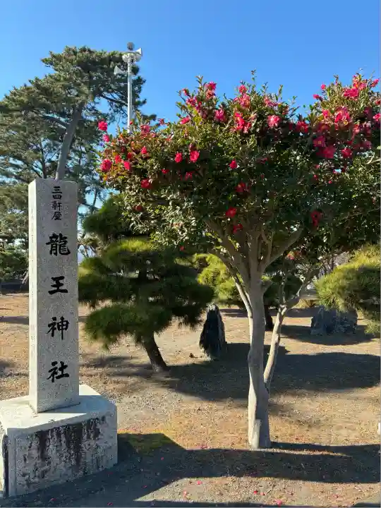 龍王神社(三四軒屋龍王神社)(静岡県)