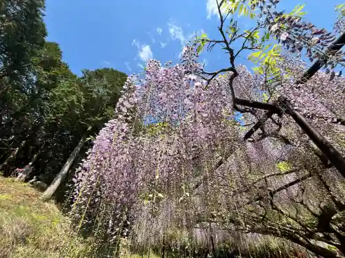 天台宗 五大山 白毫寺(兵庫県)