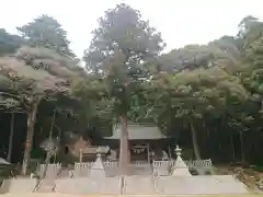 須賀神社の建物その他