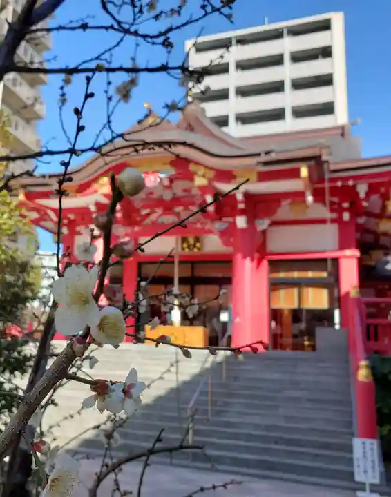 成子天神社の本殿・本堂