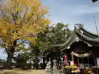 美奈宜神社(福岡県)