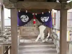 白山神社(東京都)