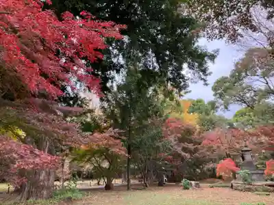 淨眞寺(東京都)