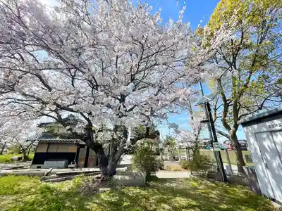 八幡神社(滋賀県)