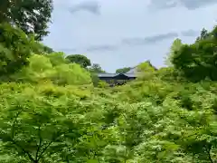 東福禅寺（東福寺）の景色