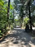 岩槻久伊豆神社(埼玉県)