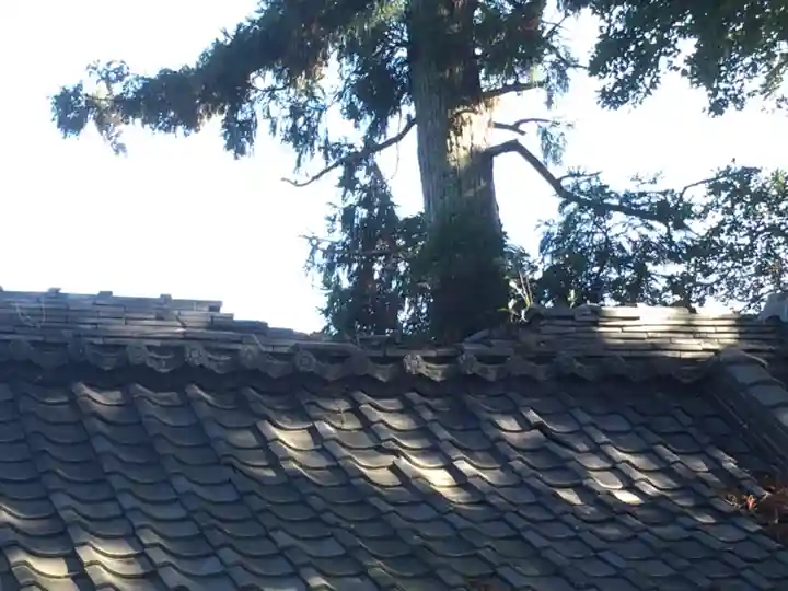 久留里神社(千葉県)