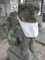 住吉神社の狛犬