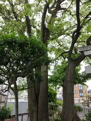 川除稲荷社(神奈川県)