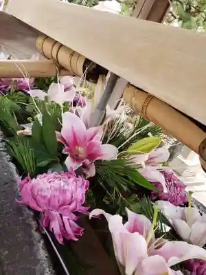 鳩森八幡神社(東京都)