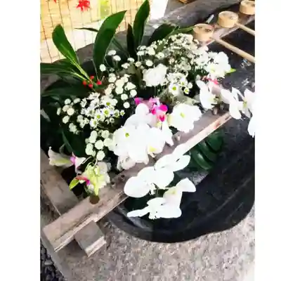 彌彦神社　(伊夜日子神社)の手水舎