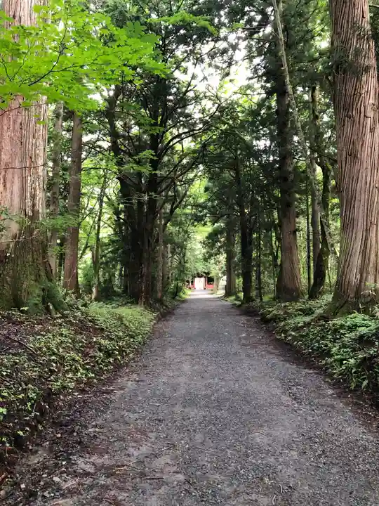 戸隠神社奥社(長野県)