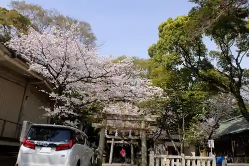 忌宮神社(山口県)