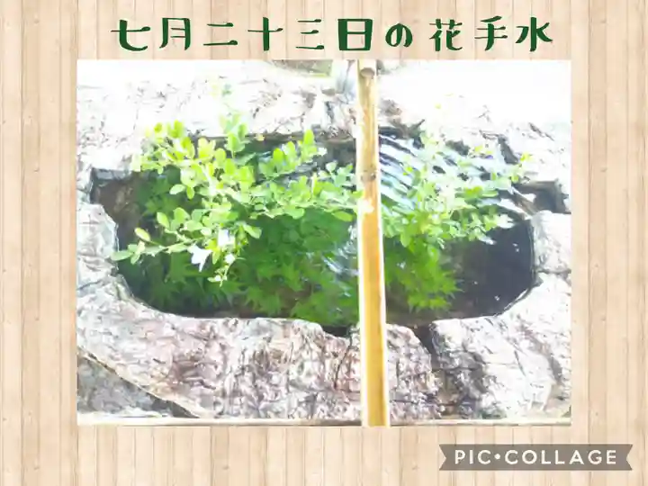 阿智神社の手水舎