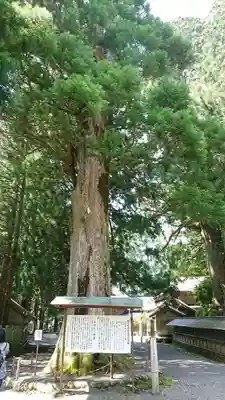 山住神社のその他建物