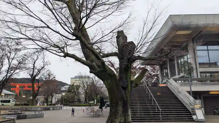 平安神宮の自然