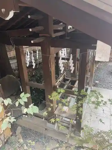 東京大神宮の手水舎