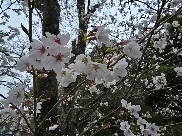 岸本神社(和歌山県)