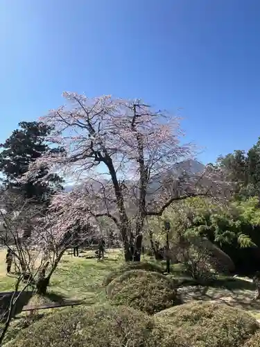 国宝 大法寺(長野県)
